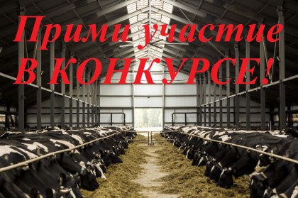 Приглашаем принять участие в конкурсе!